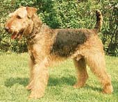MODULOR ERCO TARTAN ENDO